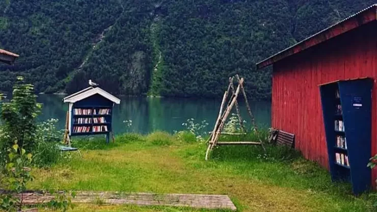 BookTowns 6