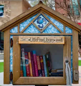 Little free libraries project