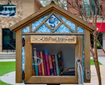 Little free libraries project