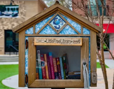 Little free libraries project