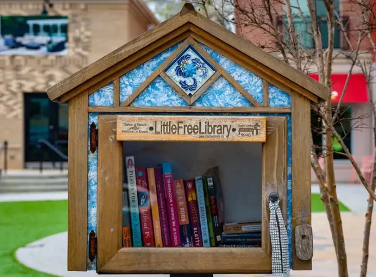 Little free libraries project