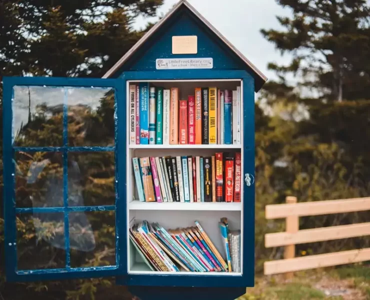 Little free libraries project 02
