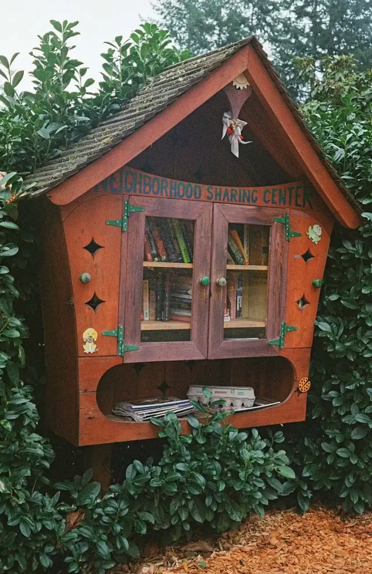 Little free libraries project 06