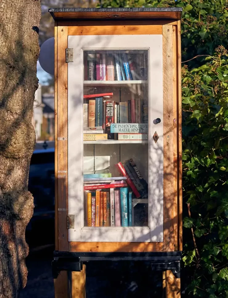 Little free libraries project 07