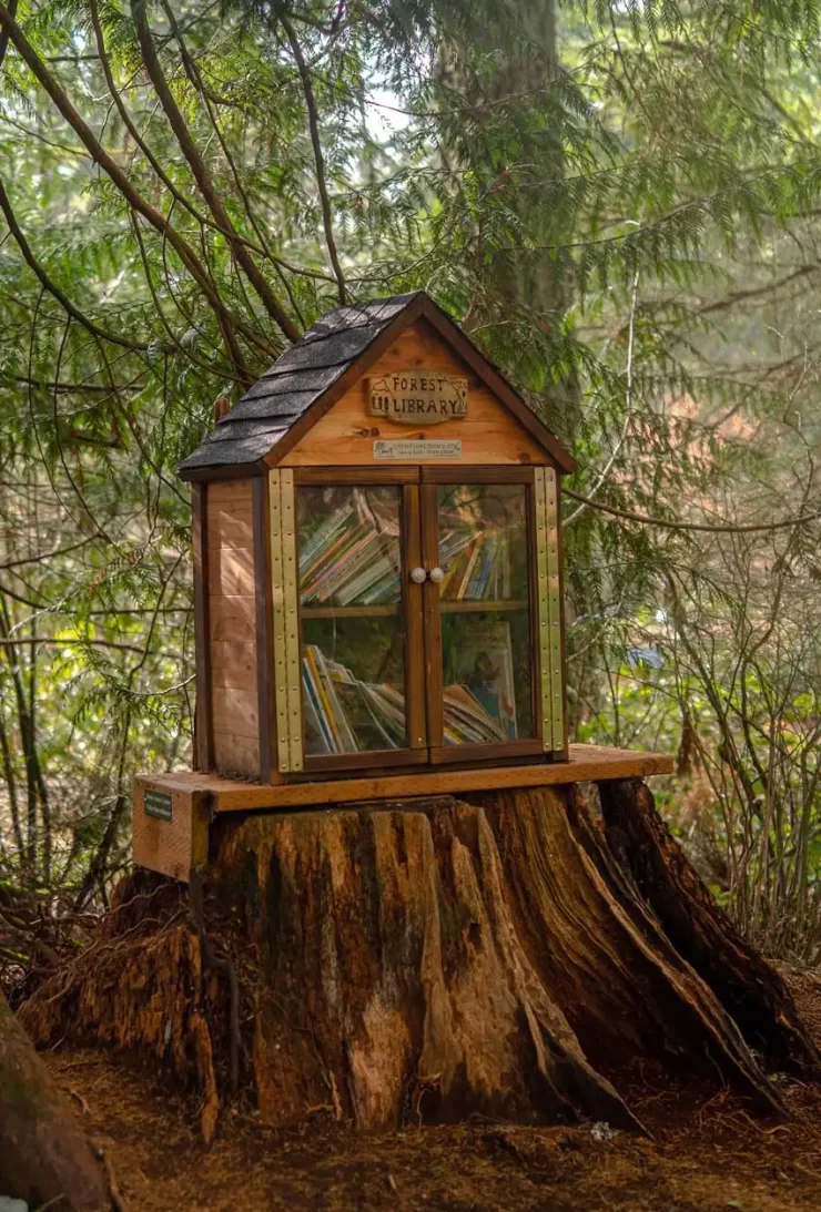 Little free libraries project 08