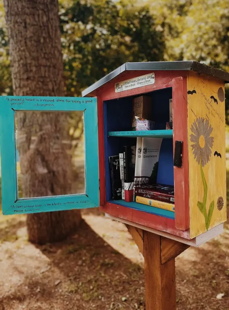 Little free libraries project 11