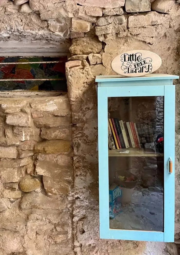 Little free libraries project 12