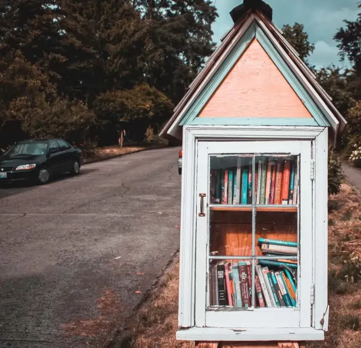 Little free libraries project 13