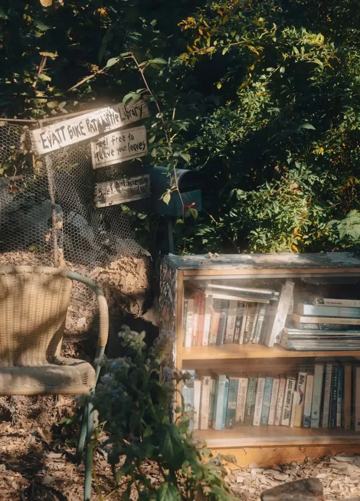 Little free libraries project 16