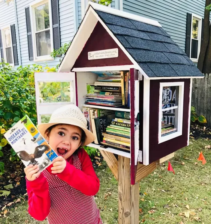 Little free libraries project 17