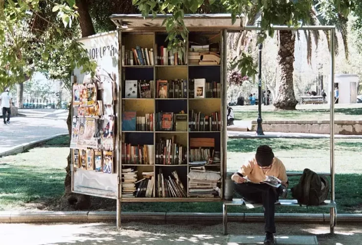 Little free libraries project 19