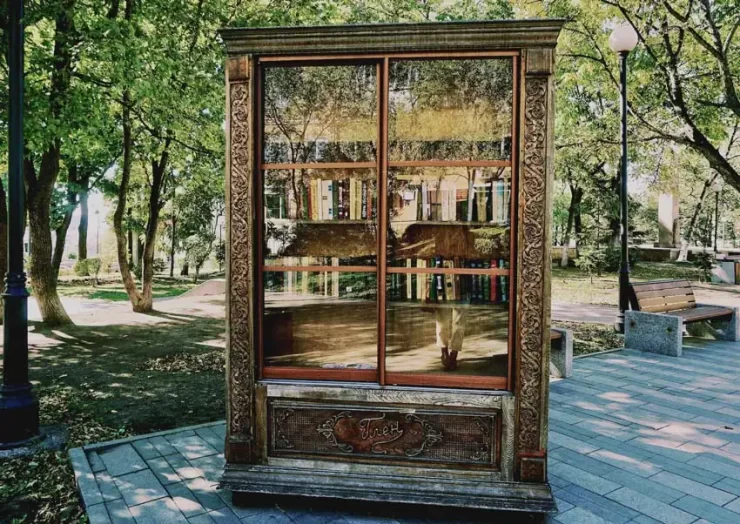 Little free libraries project 20