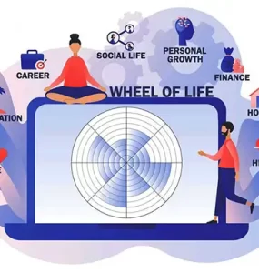 wheel of life balance cover