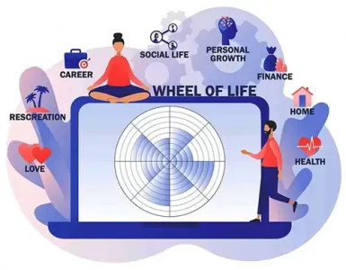 wheel of life balance cover