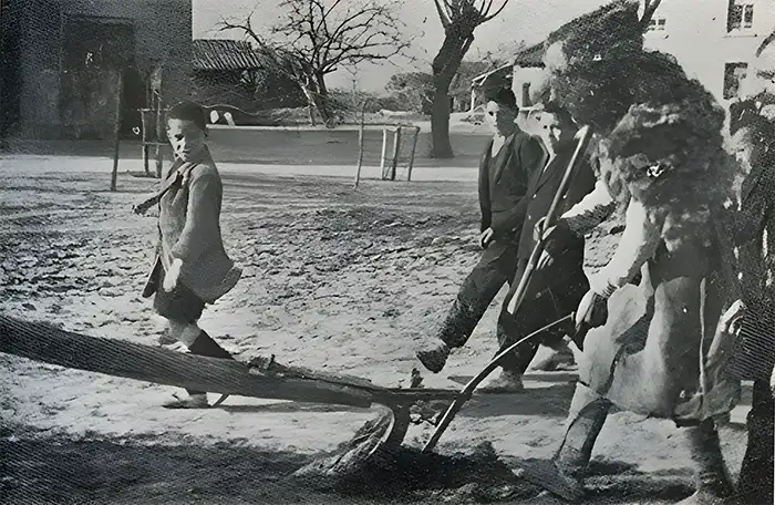 Συμβολική αροτρίαση - Αγία Ελένη Σερρών 1952
